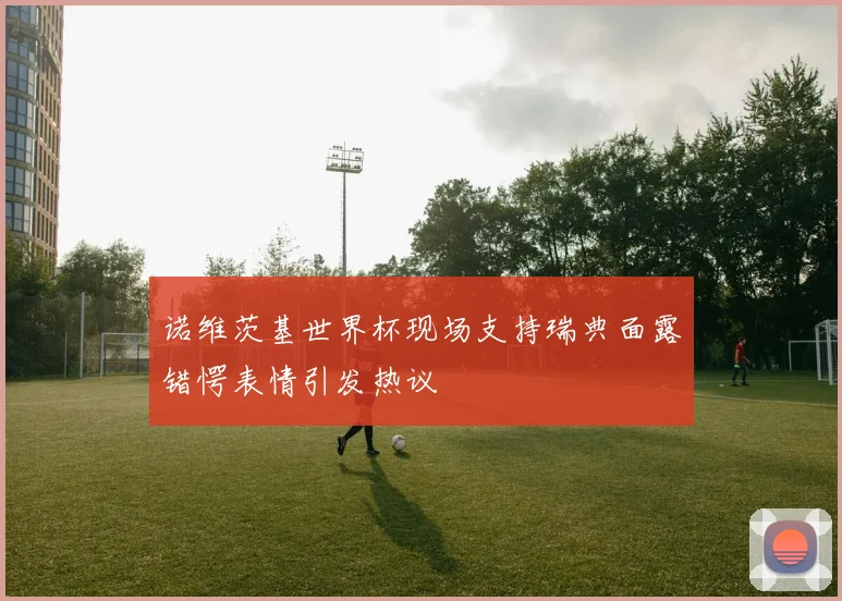 诺维茨基世界杯现场支持瑞典面露错愕表情引发热议