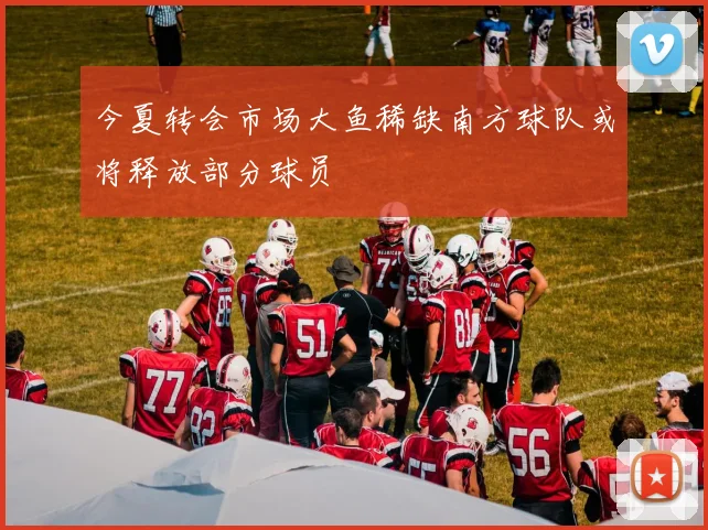 今夏转会市场大鱼稀缺南方球队或将释放部分球员