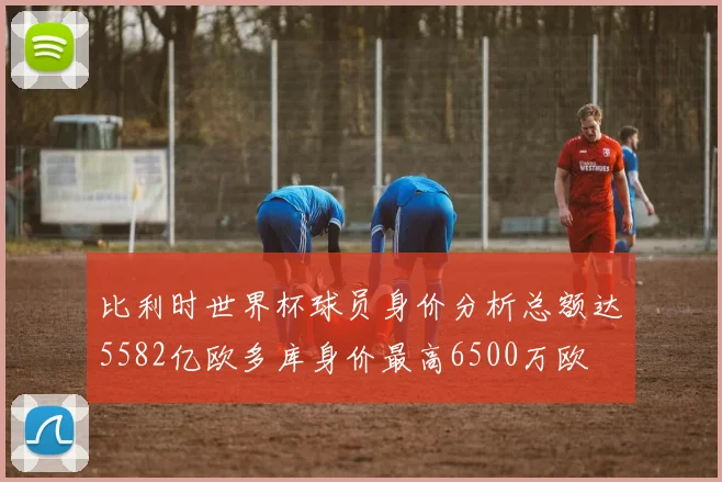 比利时世界杯球员身价分析总额达5582亿欧多库身价最高6500万欧